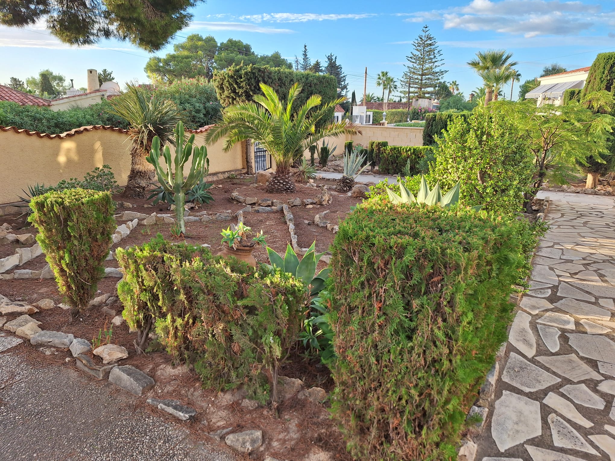 Mediterraner Garten